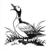 Ducks quacking loudly vector