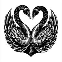 Swans Forming A Heart vector