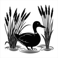 Duck in water vector