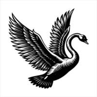 Flight Mute Spread Swan Wings vector