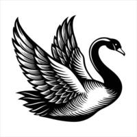 Swan Wings Extended vector