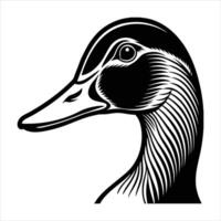 Hand drawn wild duck vector