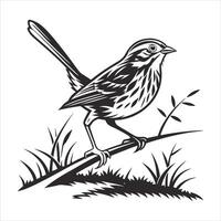 A Sparrow Hopping On A Lawn vector