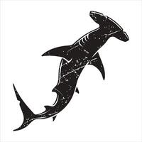 Introduction to Shark Species vector