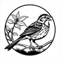 Sparrow perched on branch singing vector