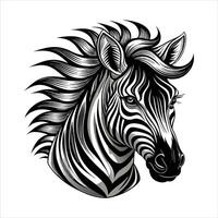 Zebra Head with Curly vector