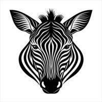 Monochrome zebra on vector