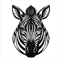Monochrome zebra on white background vector