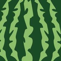 Watermelon rind pattern with abstract green stripes in a natural organic texture vector