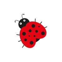 Ladybug icon. Black ladybug on a white background. vector
