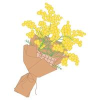 Bouquet of yellow mimosa wrapped in decorative paper, tied with a ribbon. Floral illustration in a soft, elegant style for spring holidays vector