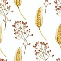 Dried flowers, red berries, ripe wheat ears, all objects are hand-drawn with watercolors. Seamless watercolor pattern. Suitable for printing on fabric, paper, for packaging design, stationery vector