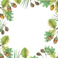 Square frame of oak leaves, ripe acorns, pine needles and wild berries. All objects are hand-painted with watercolors. Watercolor illustration. Suitable for printing on fabric, paper, for postcards vector