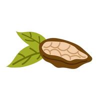 Cocoa beans, cocoa seeds for the production of chocolate and fine confectionery. illustration. vector