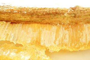 Selective focus, Honeycombs on wood stick in a beehive on white background. Beekeeping, breeding and keeping bees. photo