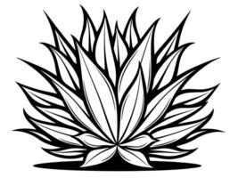 An agave plant with long, spiky leaves, which is a type of cactus commonly found in the American Southwest. vector