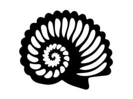 A black and white image of a seashell with a spiral pattern, representing the concentric lines and ridges. The image is simple and minimalistic, focusing on the shape and structure of the shell. vector