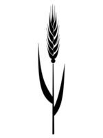 Simple illustration of a wheat sprout, perfect for design projects, logos, or backgrounds. Clean and modern graphic element vector