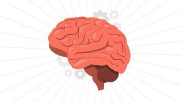 Brain Animation, Neural Activity, Brain Function, Cognitive Science video