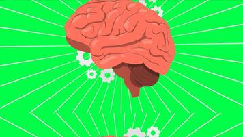 Brain Animation, Neural Activity, Brain Function, Cognitive Science On Green Screen video