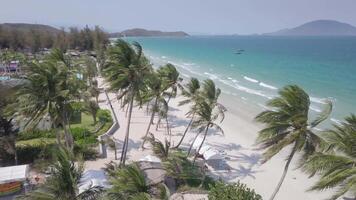 Explore a tranquil beach with swaying palms and vibrant turquoise waters video
