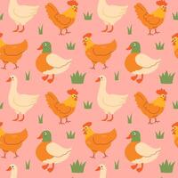 Seamless farm pattern with hens, geese, ducks vector