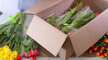 Unboxing and arranging vibrant spring tulips and daffodils in a cardboard box video