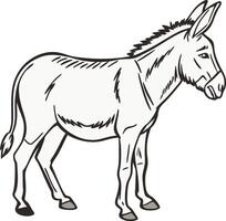 A donkey is standing in a line drawing vector