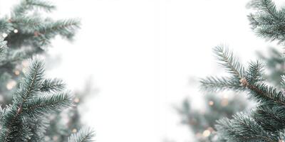 Festive Winter Wonderland Frosty Pine Branches with Soft Bokeh Lights Background photo