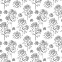 Floral seamless background line art. Chrysanthemum seamless pattern. Floral background with Chrysanthemum. November birth month flower line art. Botanical Background for wrapping paper, textile vector