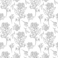 Floral seamless background line art. Hawthorn seamless pattern. Floral background with Hawthorn. May birth month flower line art. Botanical Background for wrapping paper, textile vector
