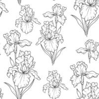 Monochrome Floral seamless background line art. Iris seamless pattern. Floral background with Iris. February birth month flower line art. Botanical Background for wrapping paper, textile vector