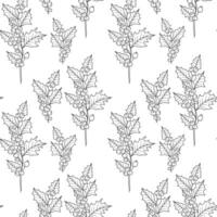Floral seamless background line art. Holly seamless pattern. Floral background with Holly. December birth month flower line art. Botanical Background for wrapping paper, textile vector