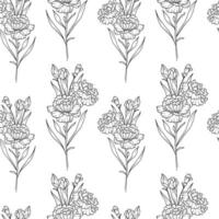 Monochrome Floral seamless background line art. Carnations seamless pattern. Floral background with Carnation. January birth month flower line art. Botanical Background for wrapping paper, textile vector