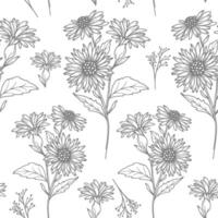 Floral seamless background line art. Aster seamless pattern. Floral background with Asters. September birth month flower line art. Botanical Background for wrapping paper, textile vector