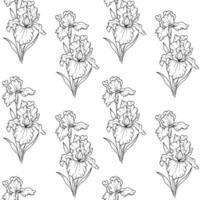 Hand Drawn Floral seamless background line art. Iris seamless pattern. Floral background with Iris. February birth month flower line art. Botanical Background for wrapping paper, textile vector