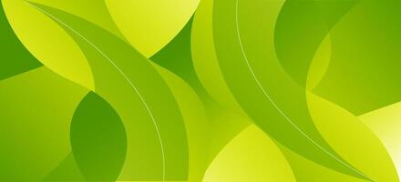 Green background abstract modern curve shape gradient style template. Illustration design vector