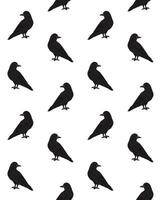 Seamless pattern of hand drawn doodle sketch ravens vector