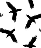 Seamless pattern of hand drawn doodle sketch flying raven vector