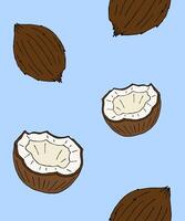 Seamless pattern of hand drawn doodle sketch coconut isolated on blue background vector