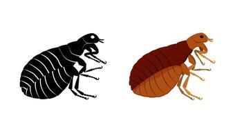 Flea insect displayed in colored and black silhouette, shown from the side view, isolated on white background vector