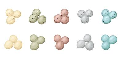 Ten sets of three colorful bird eggs are arranged on a white background, creating a diverse collection of natural beauty vector