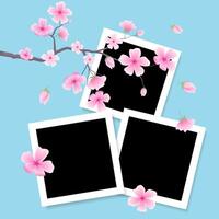 Selection of realistic photo frame mockups vector