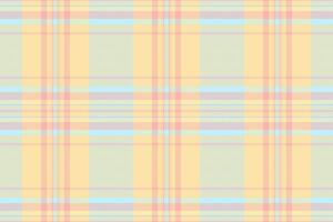 Festival plaid check, post pattern texture textile. Adorable seamless tartan fabric background in amber and light colors. vector