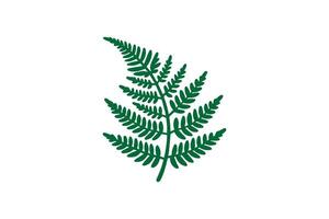 A green fern leaf on a white background vector