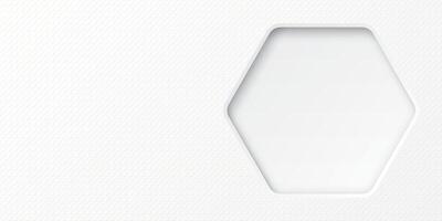 White wood free uncoated paper rough textured with 3D rounded hexagon frame paper cut style graphic illustration have blank space. vector