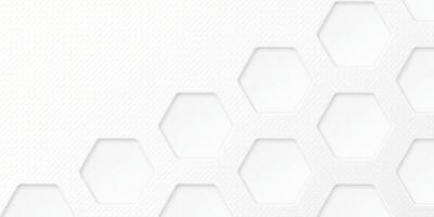 White wood free uncoated paper rough textured horizontal background with 3D rounded hexagon pattern paper cut style graphic illustration have blank space. vector