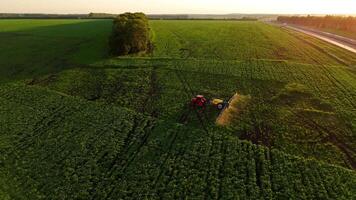 Aerial view of a tractor spraying an agricultural field with pesticides at sunset. Farming. Agricultural industry. Top view video