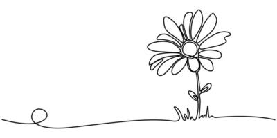 Chamomile Continuous one line drawing illustration vector