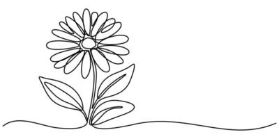 Daisy flower continuous one line drawing art illustration vector